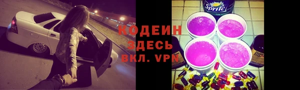 гашик Алзамай
