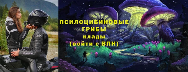 гашик Алзамай