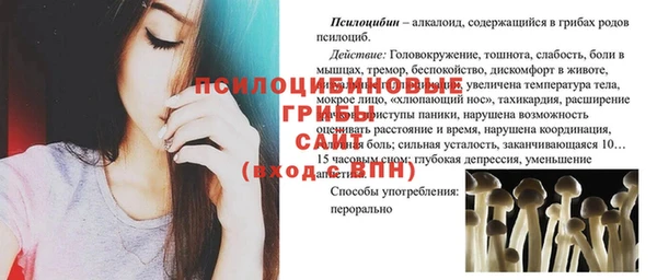 сатива Алексин